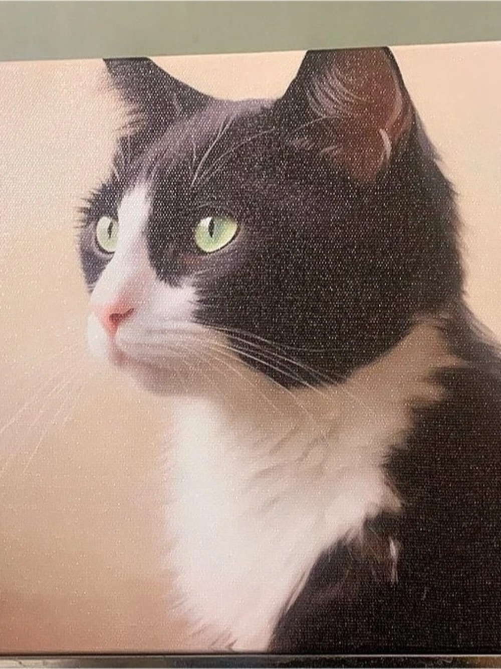 Black & White Cat Art Print 12x8
